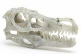 Carved Labradorite Dinosaur Skull #218493-3